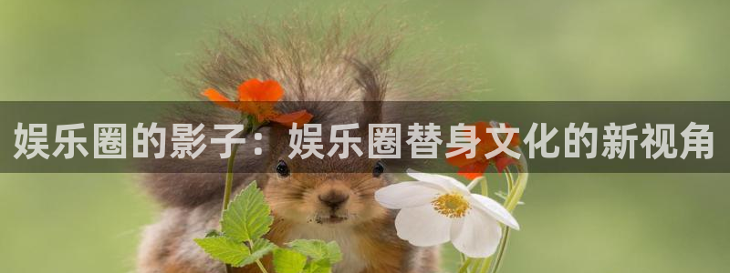 星空娱乐传媒：娱乐圈的影子：娱乐圈替身文化的新视角