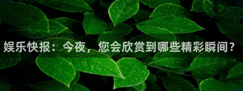 星空娱乐官网：娱乐快报：今夜，您会欣赏到哪些精彩瞬间？