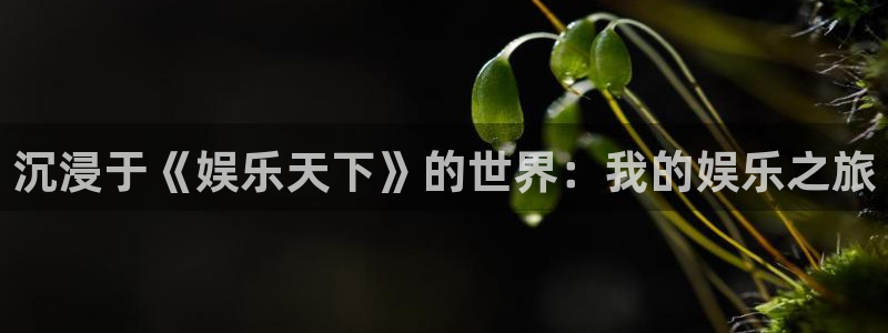 星空娱乐二维码图片怎么弄：沉浸于《娱乐天下》的世界：我的娱乐之旅