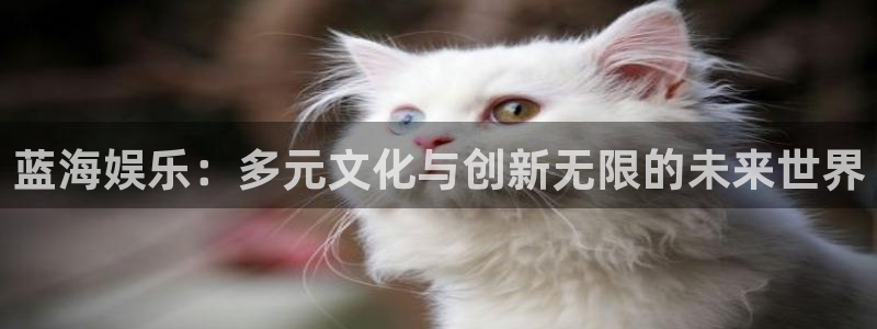 星空娱乐网址：蓝海娱乐：多元文化与创新无限的未来世界