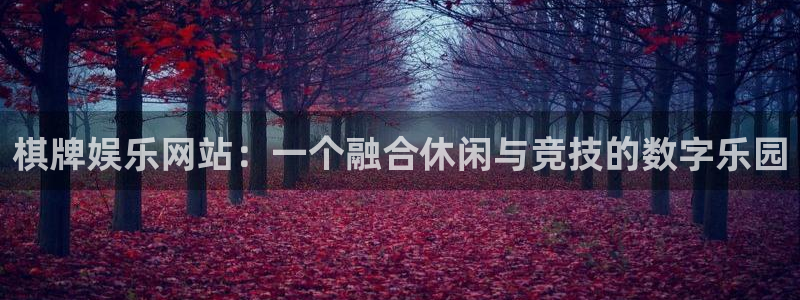 星空娱乐网站：棋牌娱乐网站：一个融合休闲与竞技的数字乐园