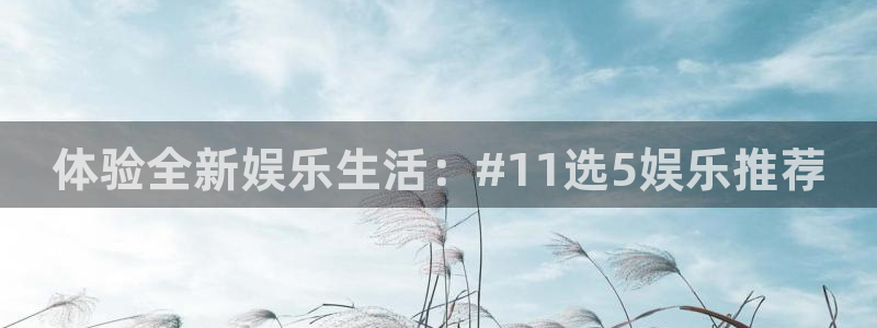 星空娱乐app下载安装：体验全新娱乐生活：#11选5娱乐推荐