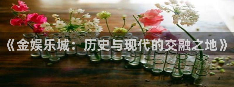 星空娱乐网站官网：《金娱乐城：历史与现代的交融之地》