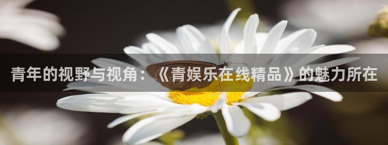 星空娱乐app：青年的视野与视角：《青娱乐在线精品》的魅力所在