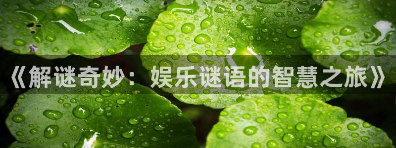 星空娱乐：《解谜奇妙：娱乐谜语的智慧之旅》