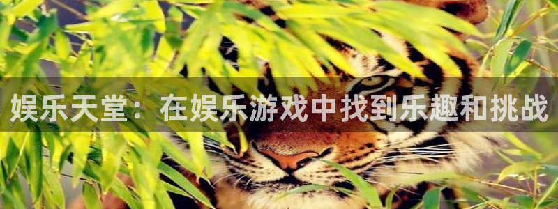 93299星空娱乐官网版：娱乐天堂：在娱乐游戏中找到乐趣和挑战