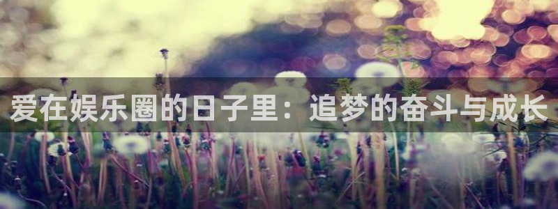 星空娱乐网址：爱在娱乐圈的日子里：追梦的奋斗与成长
