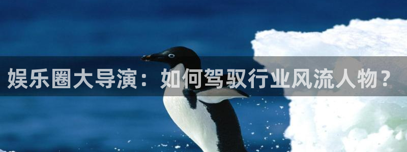 93299星空娱乐：娱乐圈大导演：如何驾驭行业风流人物？
