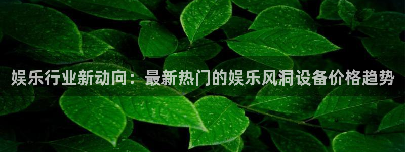 星空娱乐93299尊享版：娱乐行业新动向：最新热门的娱乐风洞设备价格趋势