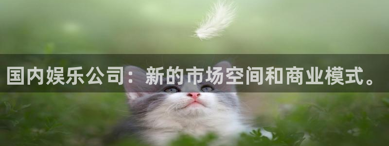下载星空娱乐：国内娱乐公司：新的市场空间和商业模式。
