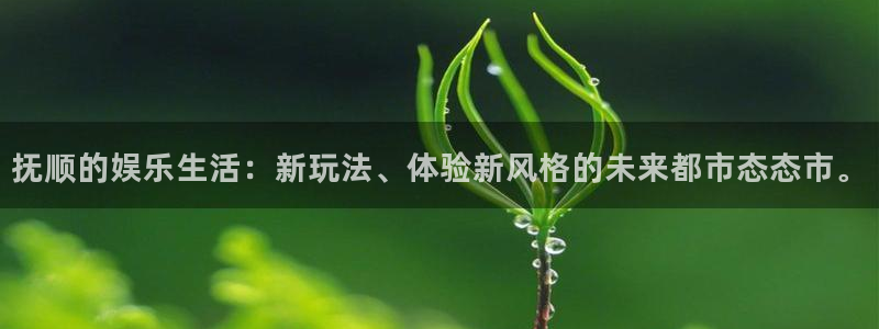 星空娱乐游戏：抚顺的娱乐生活：新玩法、体验新风格的未来都市态态市。
