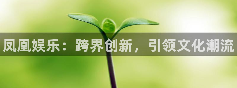 93299星空娱乐：凤凰娱乐：跨界创新，引领文化潮流