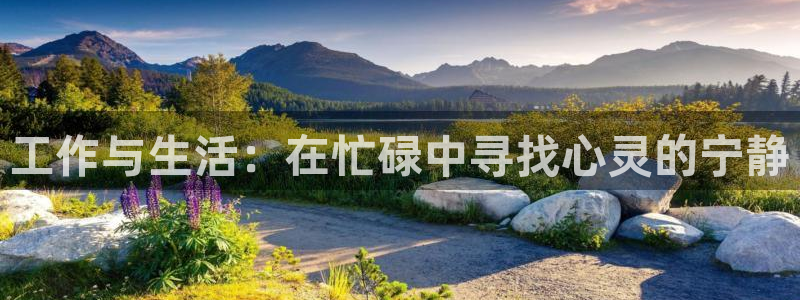 星空娱乐.：工作与生活：在忙碌中寻找心灵的宁静