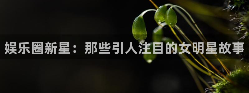星空娱乐官网：娱乐圈新星：那些引人注目的女明星故事