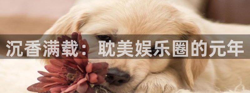 星空娱乐网址：沉香满载：耽美娱乐圈的元年