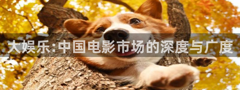 星空娱乐app安装：大娱乐:中国电影市场的深度与广度